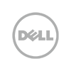 dell_100