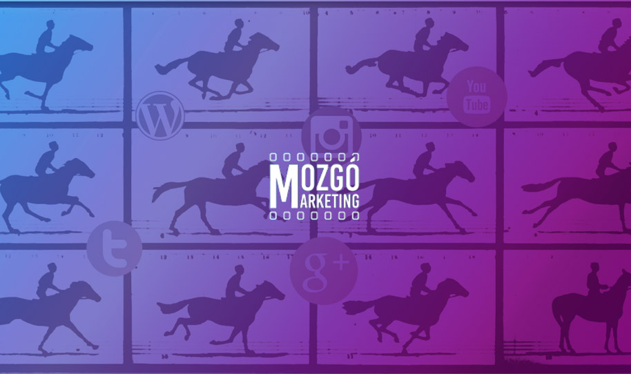mozgomarketing