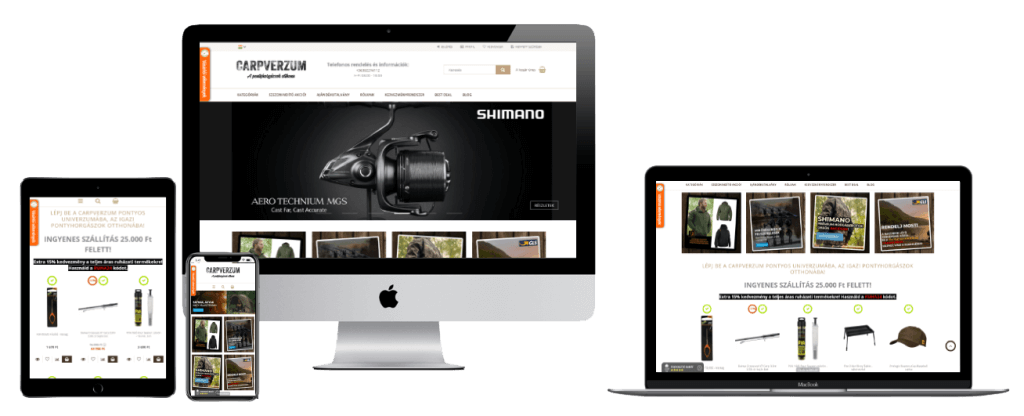 CarpVerzum esettanulmány